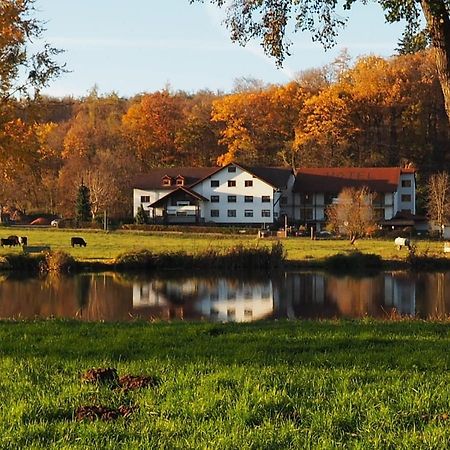 Landgasthof Rotlipp Gaestezimmer Ortenberg  エクステリア 写真