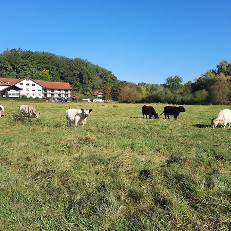 Landgasthof Rotlipp Gaestezimmer Ortenberg  エクステリア 写真