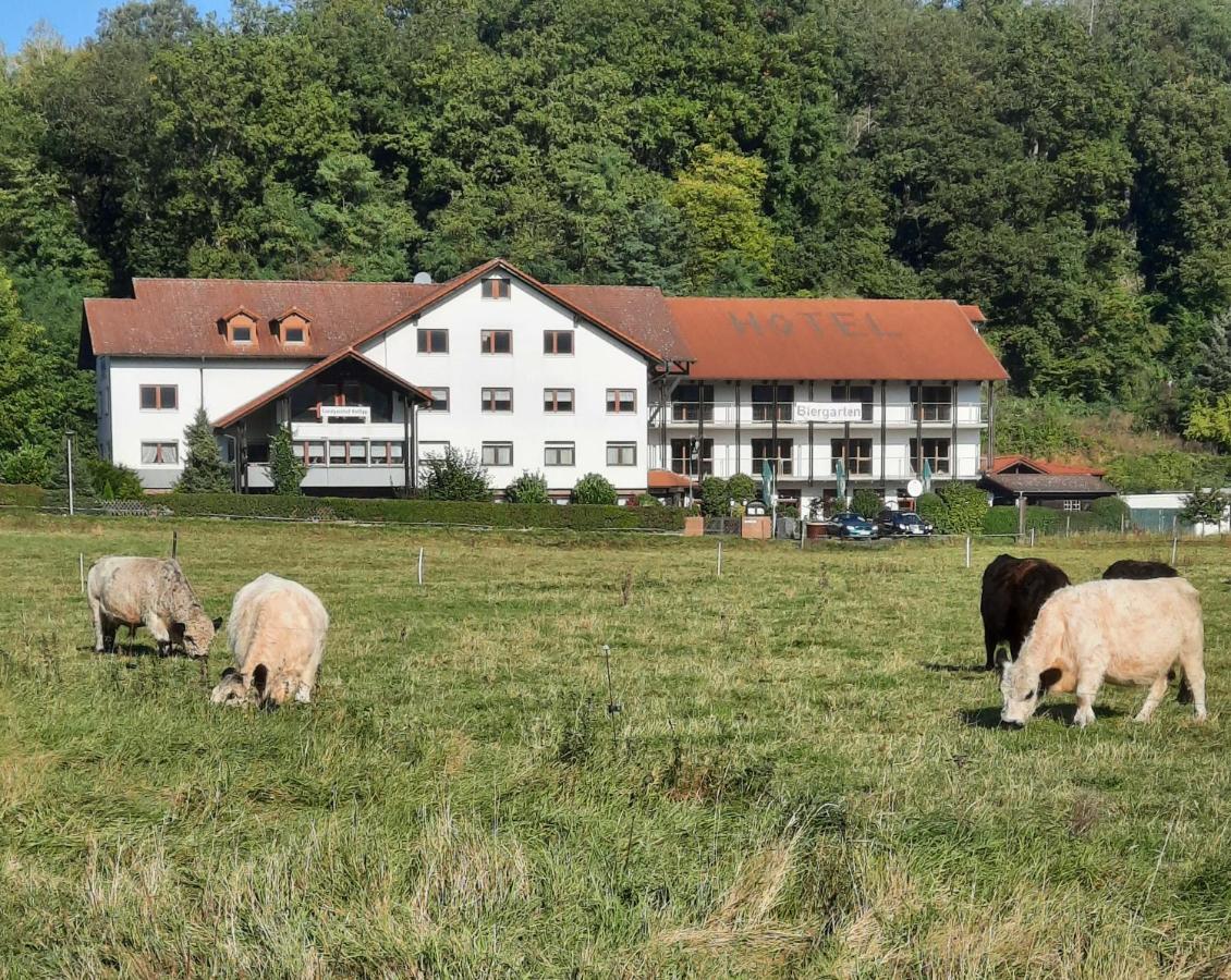Landgasthof Rotlipp Gaestezimmer Ortenberg  エクステリア 写真