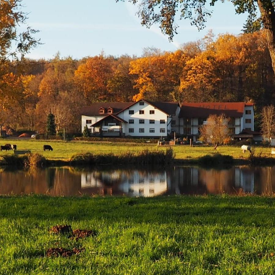 Landgasthof Rotlipp Gaestezimmer Ortenberg  エクステリア 写真
