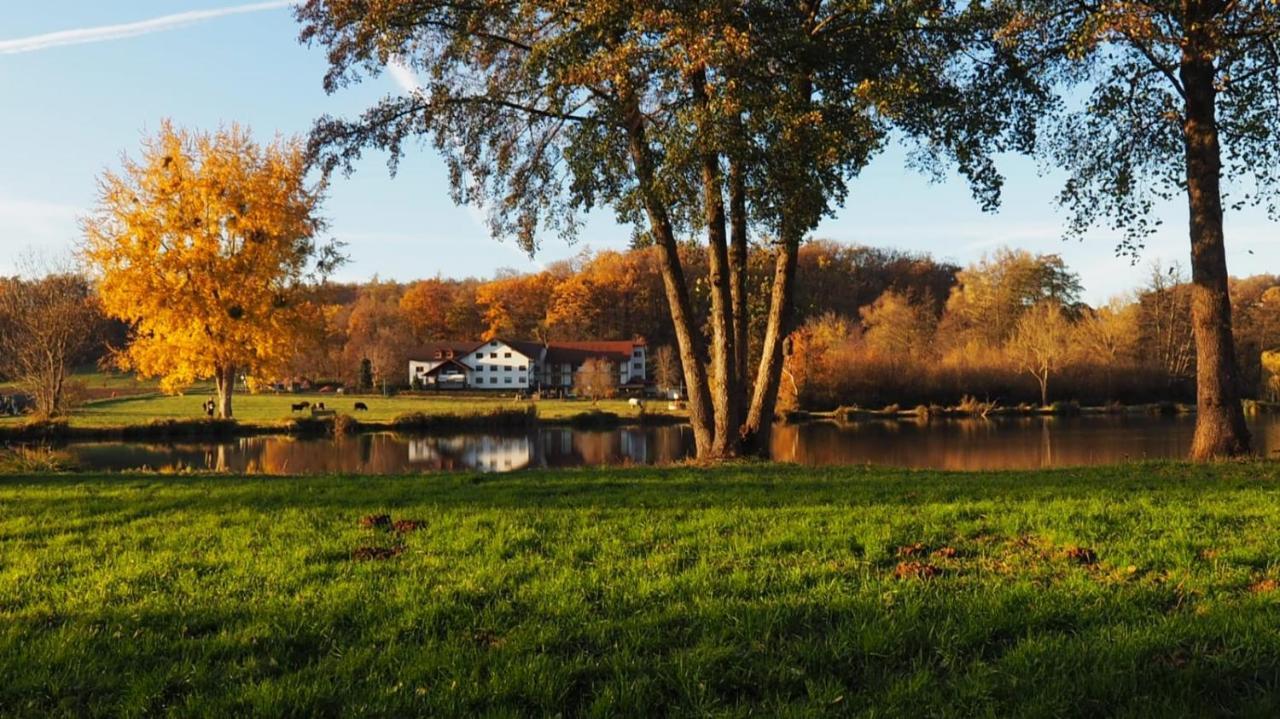 Landgasthof Rotlipp Gaestezimmer Ortenberg  エクステリア 写真