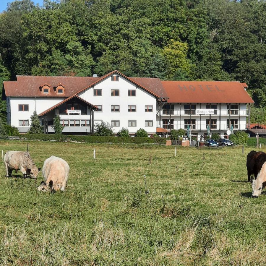 Landgasthof Rotlipp Gaestezimmer Ortenberg  エクステリア 写真